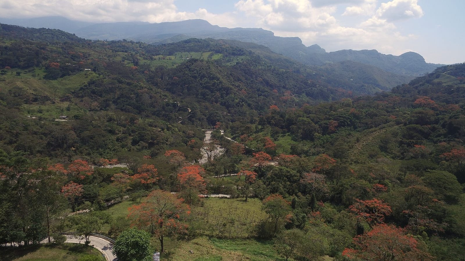 Ceibos en flor · Zetaquira, Lengupá